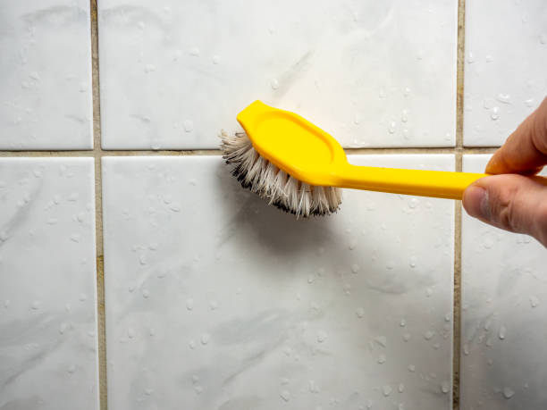 Best Attic Mold Removal  in Gleneagle, CO